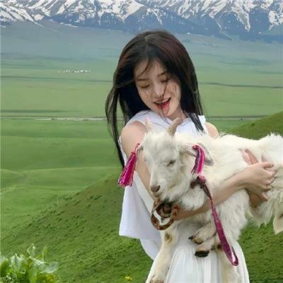 阿玛迪斯